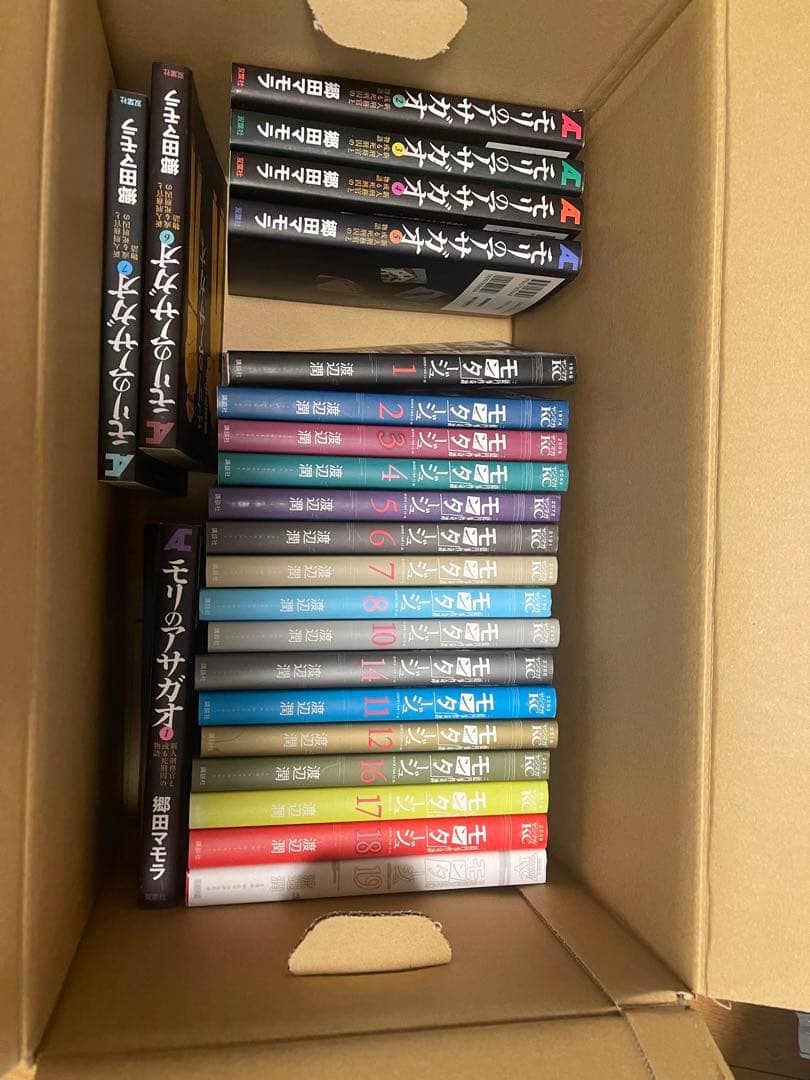 ウロボロス、モンタージュ、モリノアサガオ