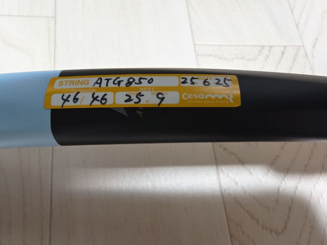 藤*)様 ヘッド インスティンクト チーム(285g) 2025年ウインザー限定