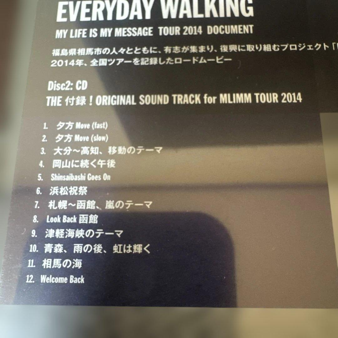 EVERYDAYWALKINGTOUR 2014山口洋＆仲井戸麗市　新品未開封