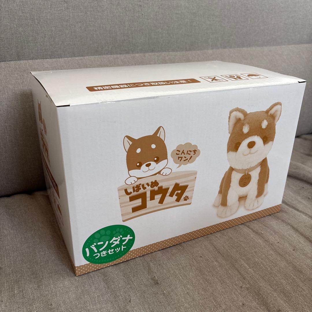しばいぬ コウタ おしゃべり ぬいぐるみ 新品