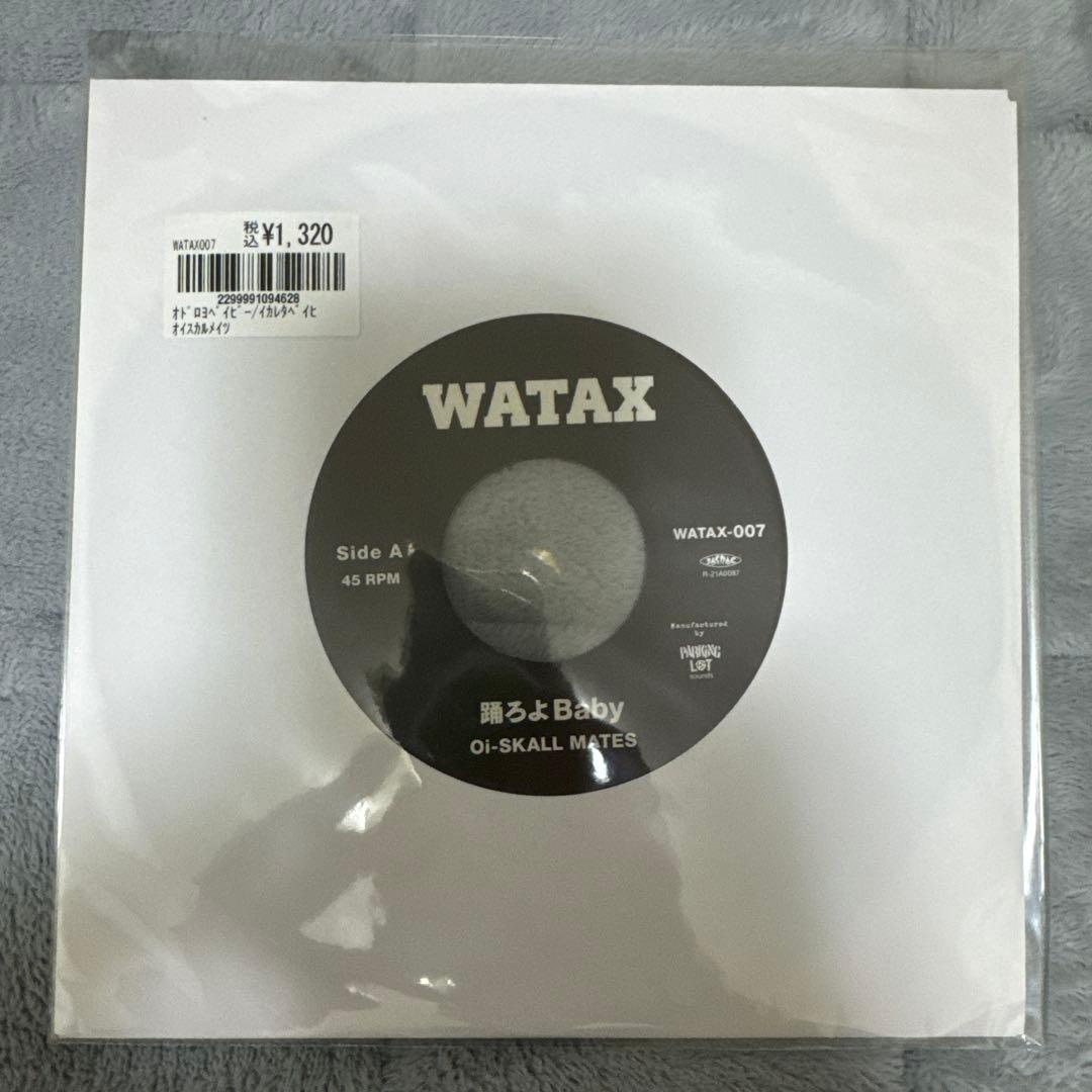 WATAX 踊ろよBaby.いかれたBaby