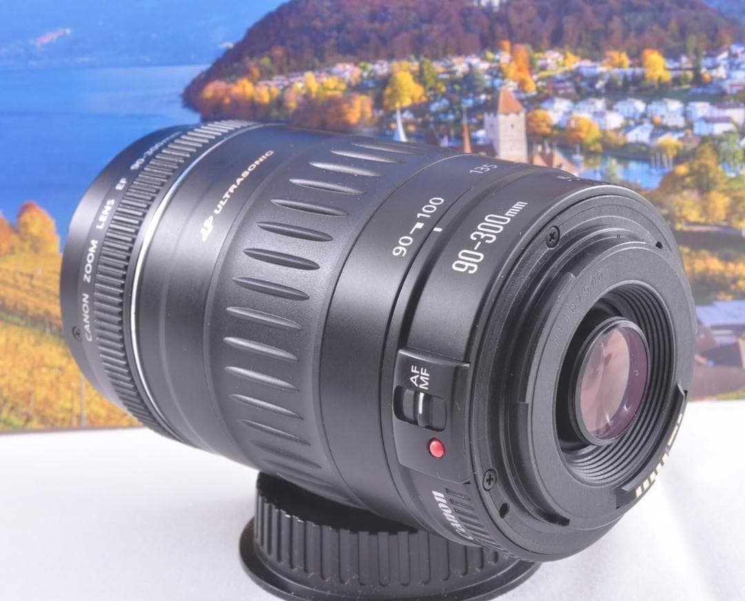Canon EF 90-300mm USM フード付キヤノン 望遠ズーム 整備済
