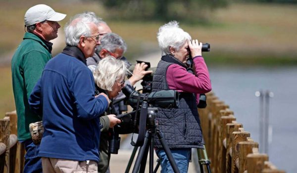 Personas con cámaras y binoculares observando aves
