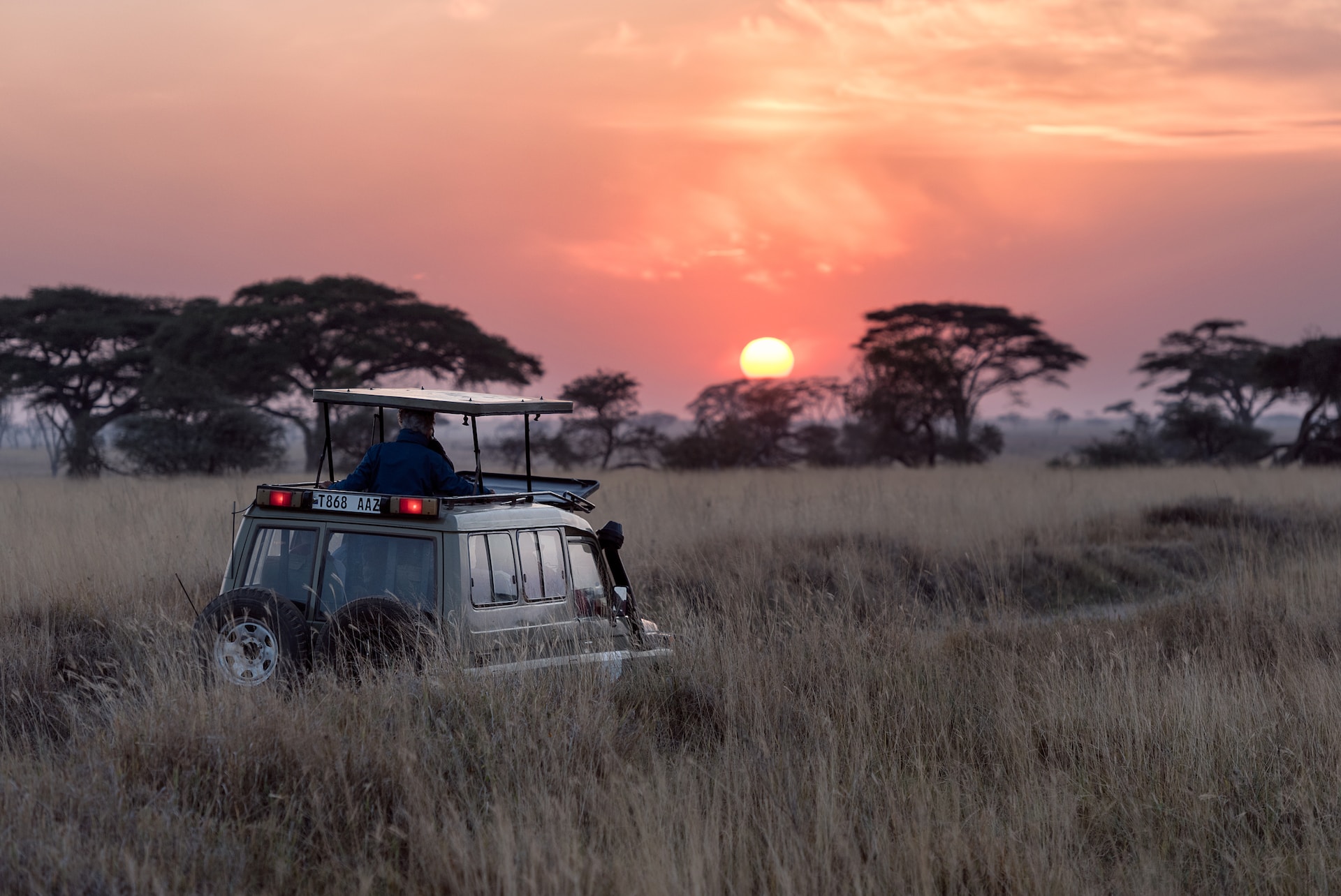 Vehículo en sabana haciendo un safari