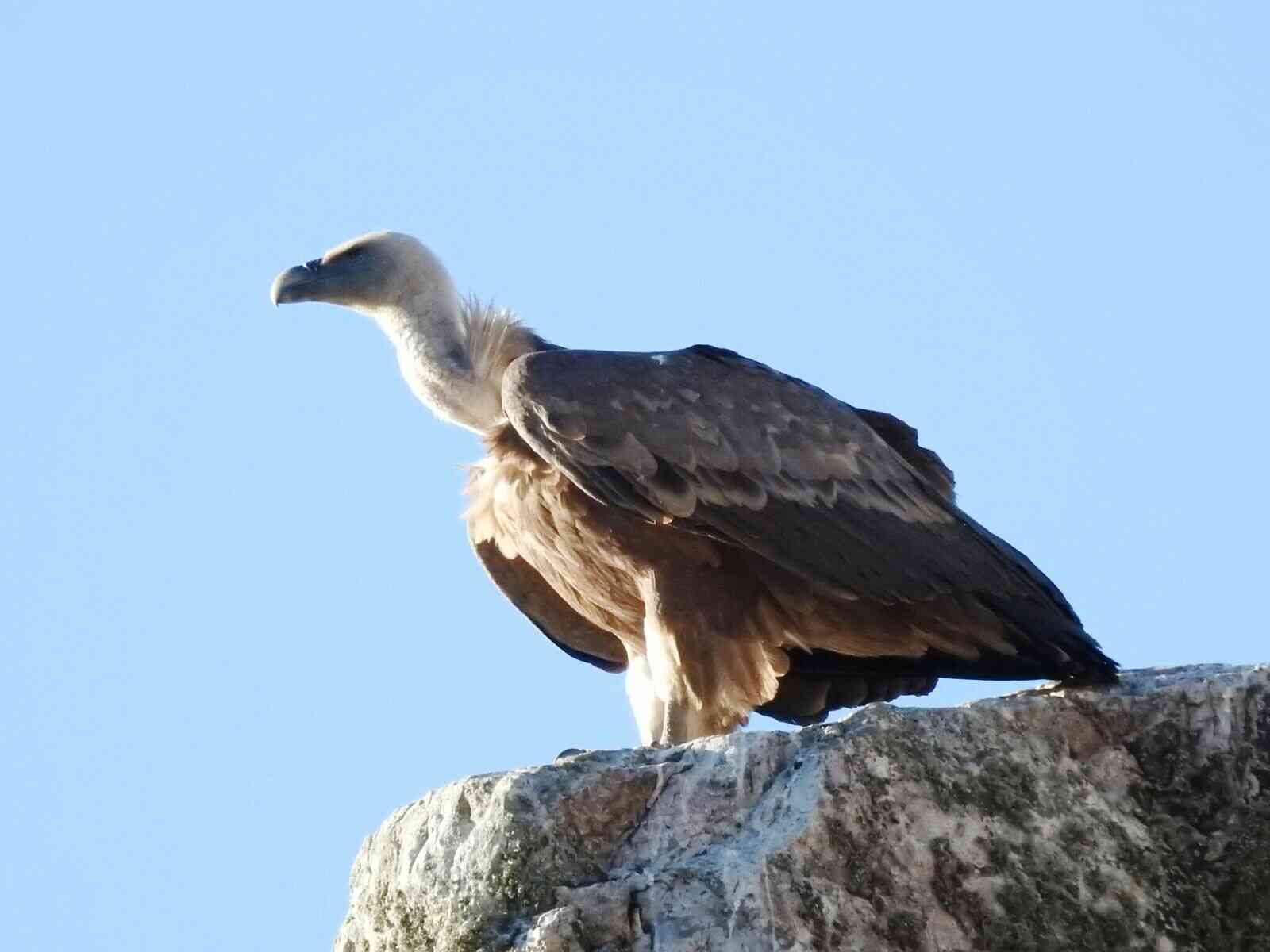 naturaleza-(1)_optimized