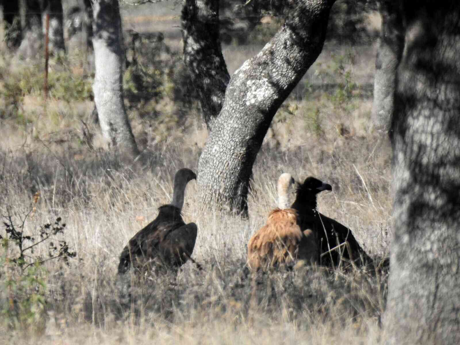 naturaleza-(2)_optimized