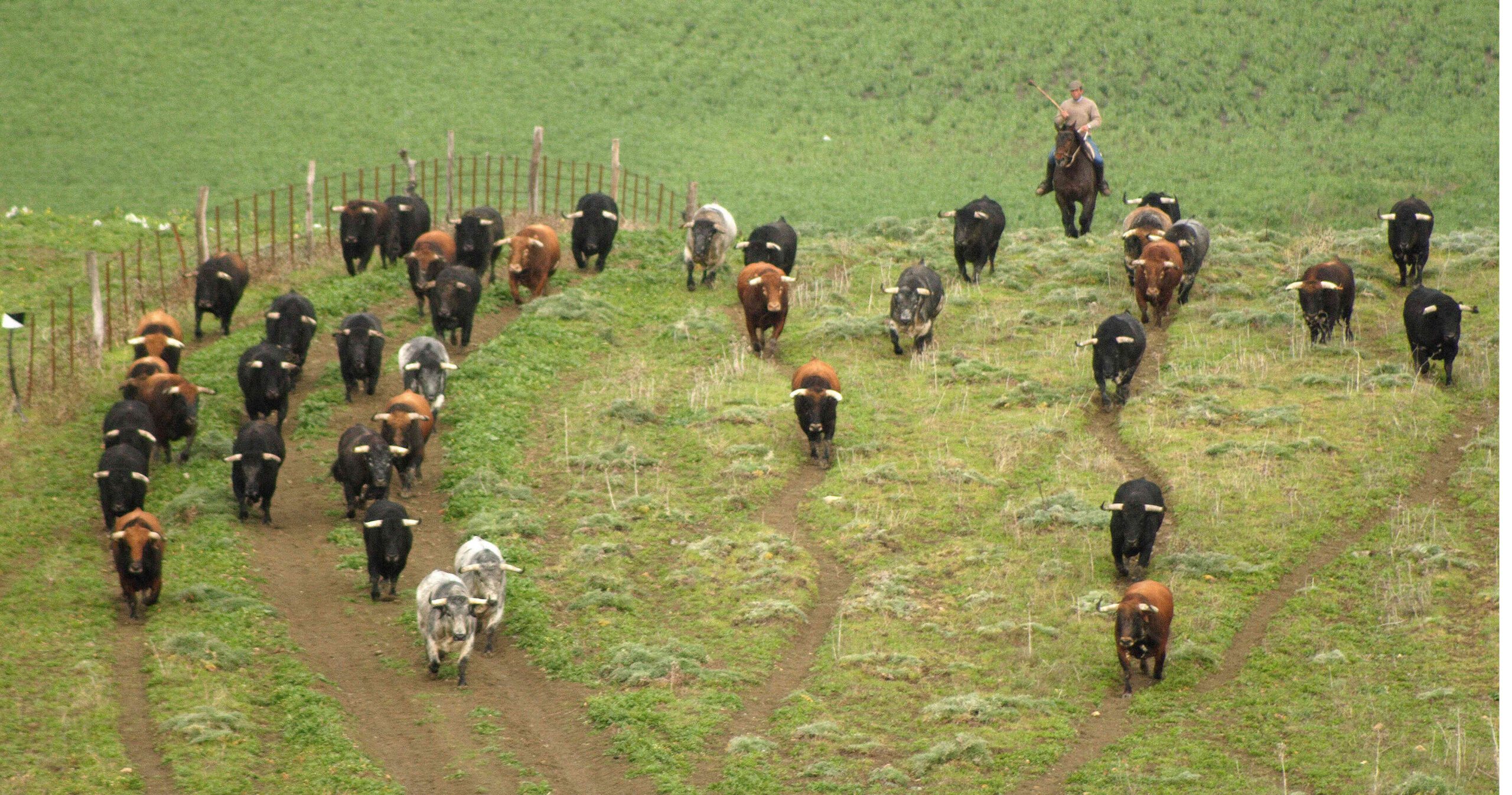 naturaleza-(3)_optimized