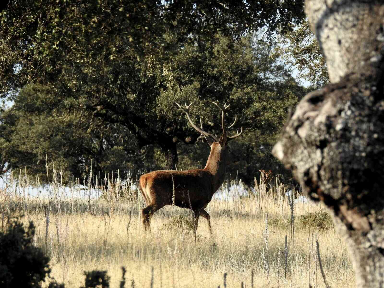 naturaleza-(3)_optimized