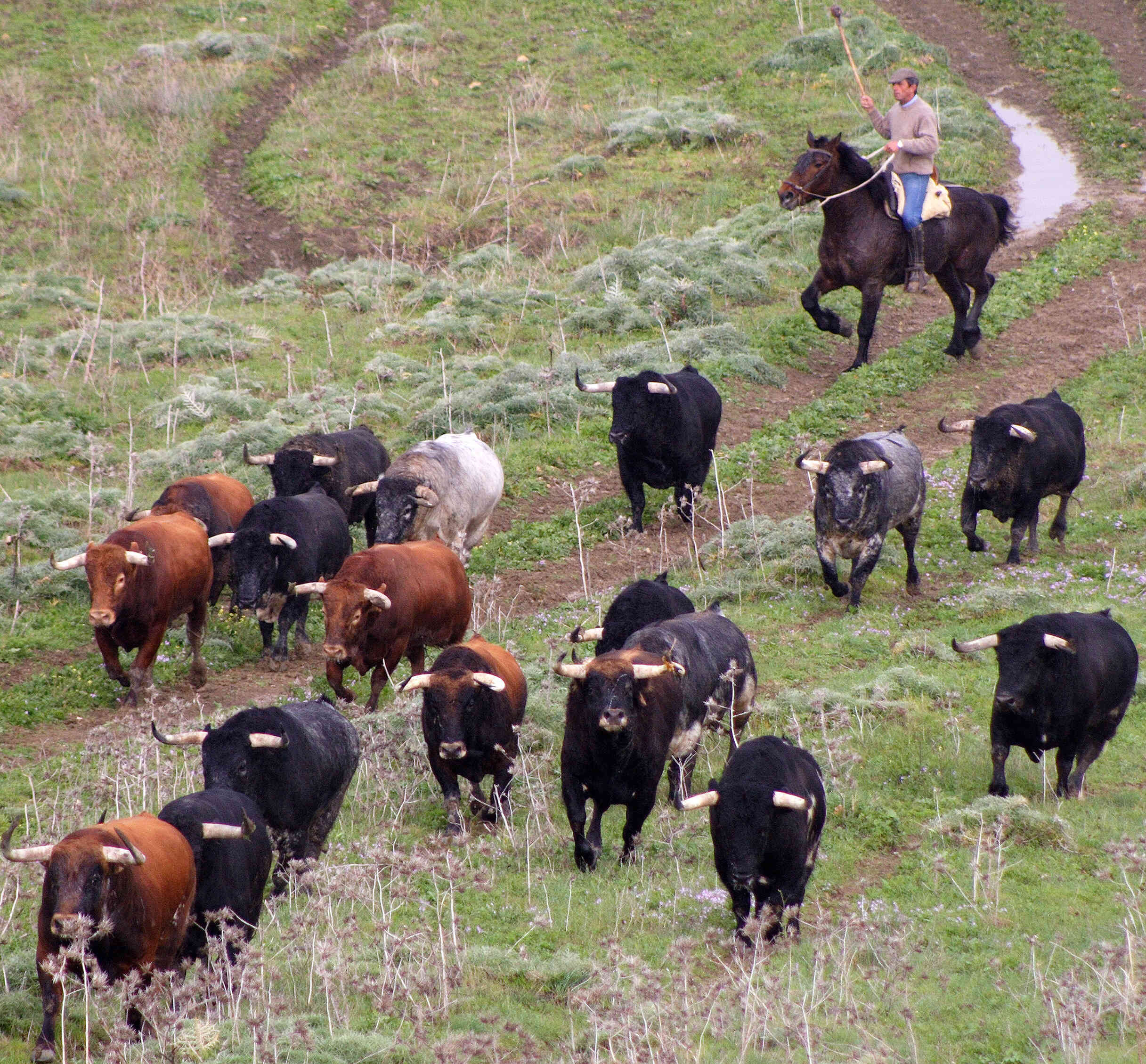 naturaleza-(4)_optimized