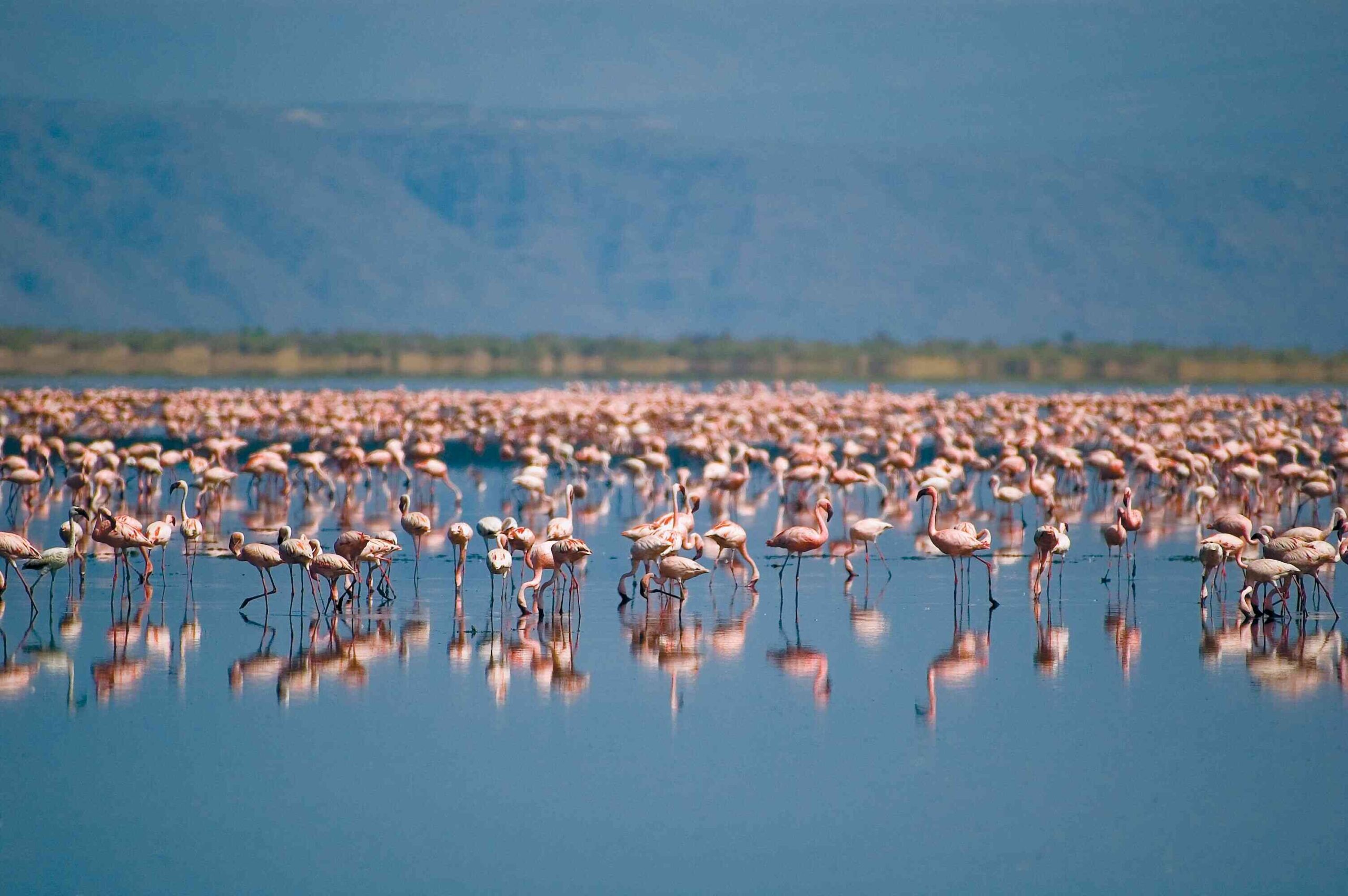 naturaleza-(6)_optimized