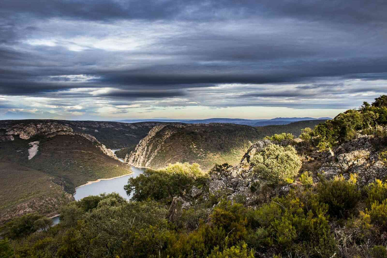 naturaleza-(7)_optimized